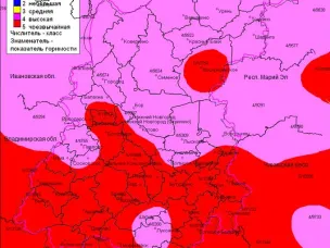 Лесопожарная обстановка на территории городского округа Семеновский